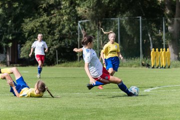 Bild 338 - wBJ Hamburger SV - FC Carl Zeiss Jena : Ergebnis: 5:1